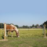 Electrified steel gate